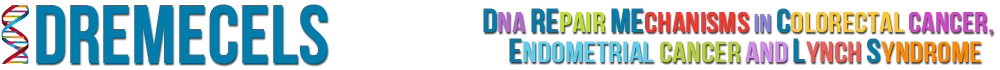 DREMECELS | DNA Repair Mechanism Database