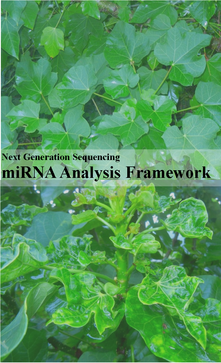 miRNA Analysis Framework