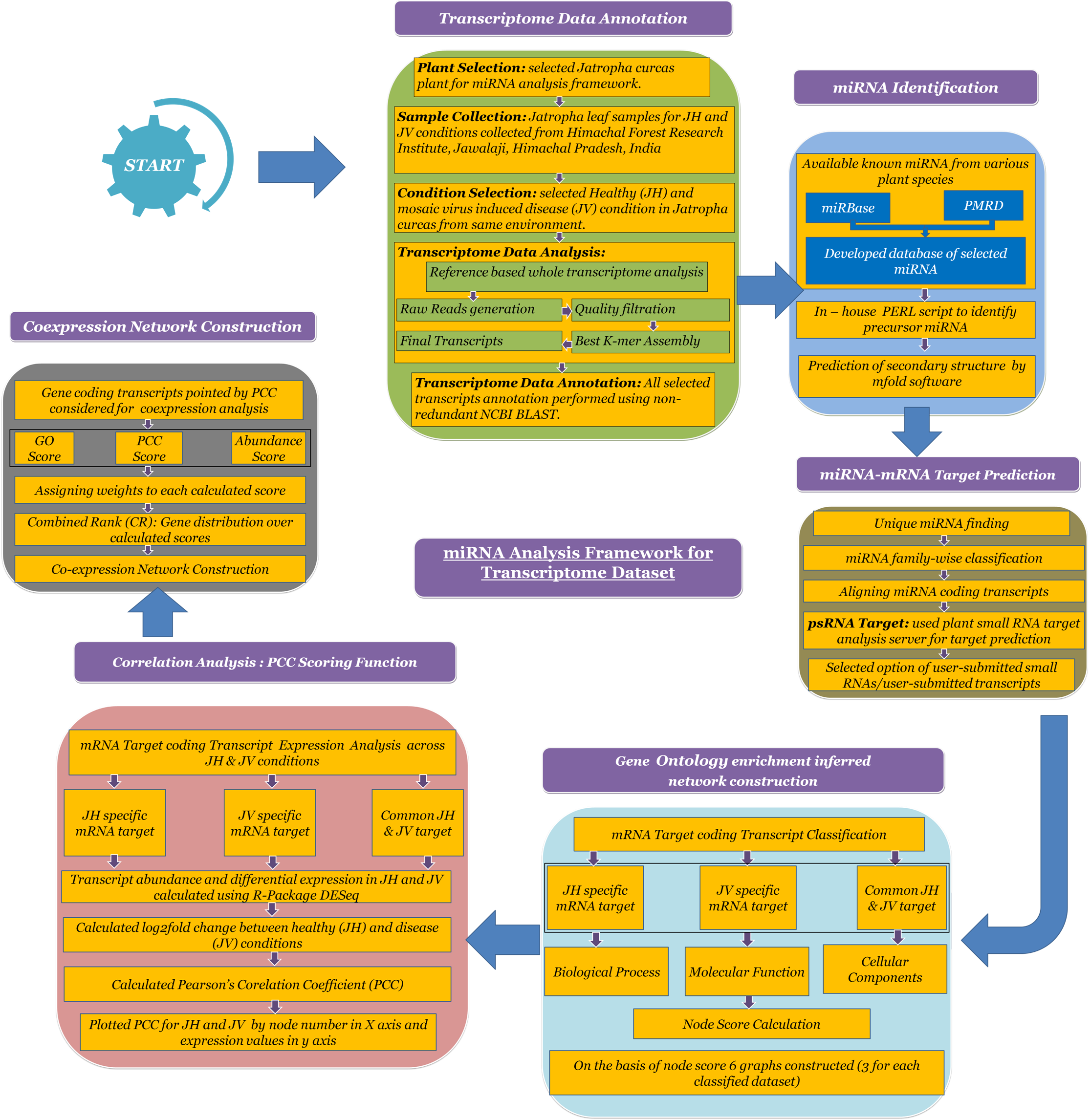 miRNA analysis framework