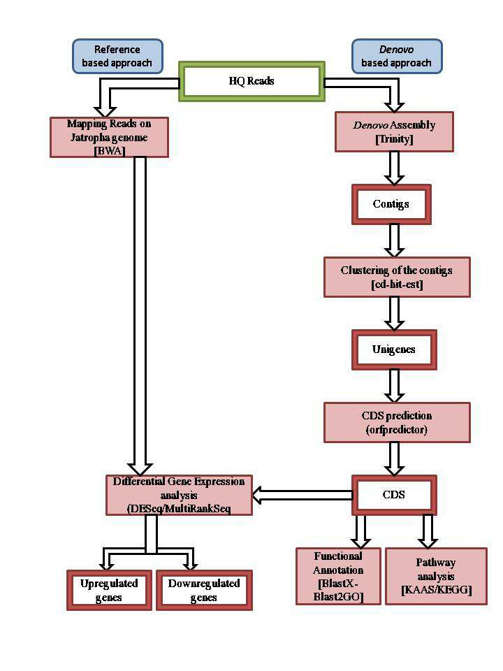 miRNA analysis framework