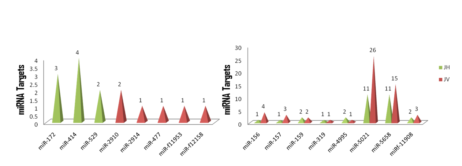 miRNA Target Prediction